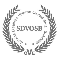 logo_sdvosb